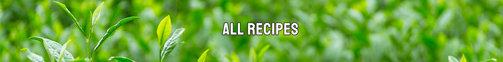 All Matcha Menu Recipes