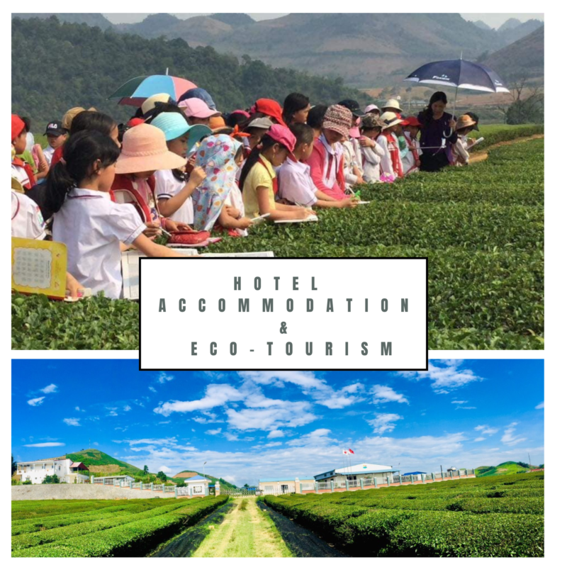 Green Tea Field Ecotourism and Hotel Accommodation